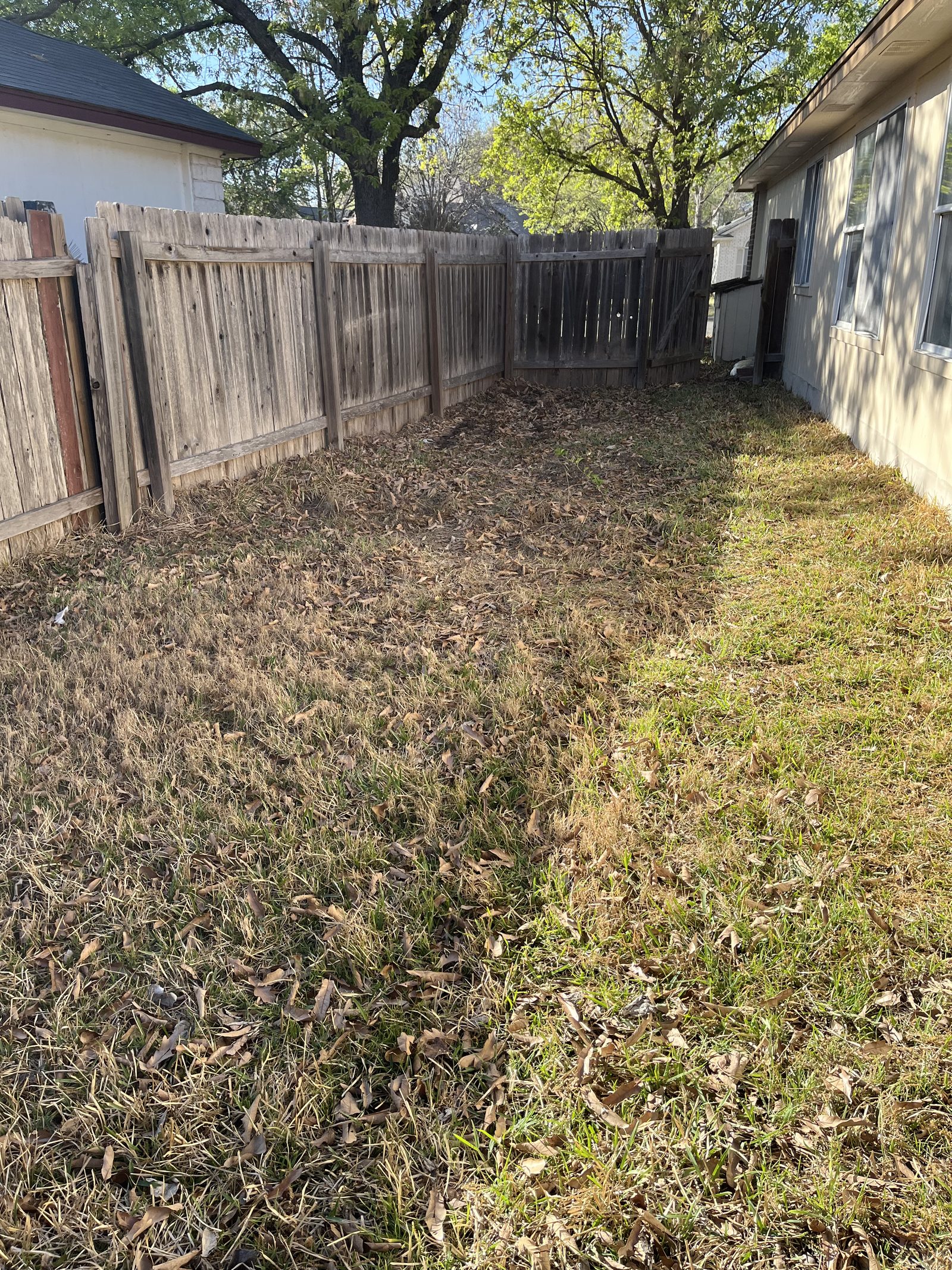 Junk Removal — junk removal job in Kyle, TX
